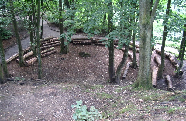 Image: Wooded area with logs laid out like benches. © Ari Meghlen