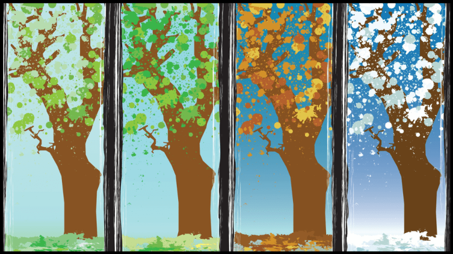 Vector artwork of four trees representing the four seasons