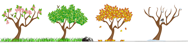 Illustration of the four seasons as shown with four trees. Image from Pixabay
