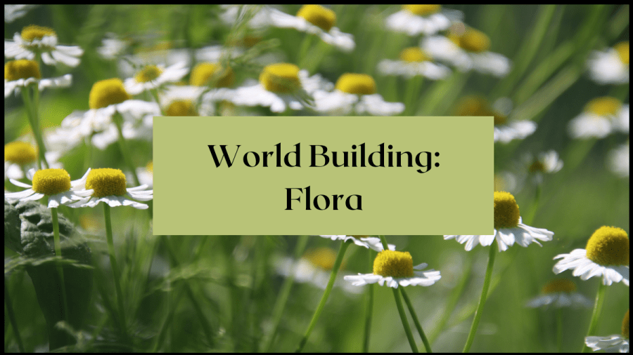 Close up photo of white daisies in a field. Text overlay reads: How To Build Your World: Flora