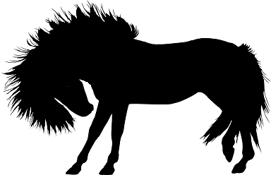 Silhouette of a horse
