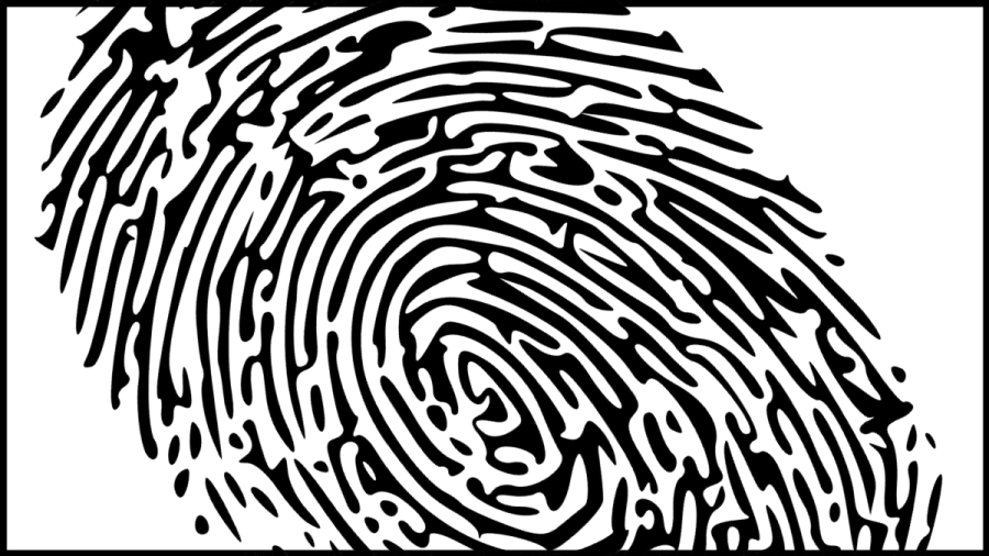 Black and white vector image of a fingerprint