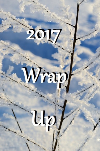 hoar-frost on plants in winter