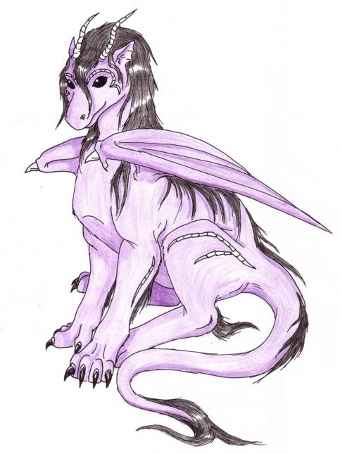 coloured drawing of a purple dragon with black mane sitting