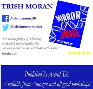 Image Book cover for Mirror Image by Trish Moran