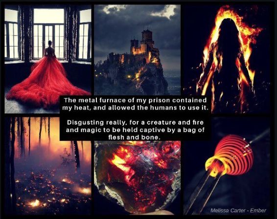 Melissa Carter's Book Aesthetics