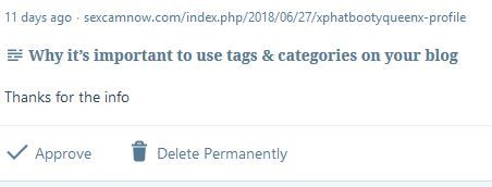 Image a subtle spam comment