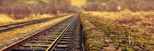 Image: Railway tracks surrounded by trees.