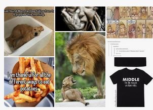 Screenshot of pinterest board without a cover image