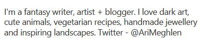 Screenshot of Ari Meghlen's Pinterest Profile Description
