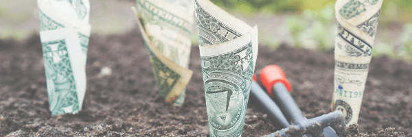 Money in the ground, growing investment