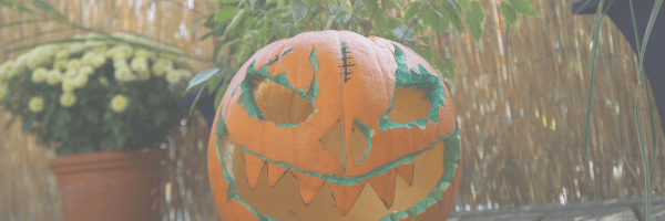 Pumpkin carving. Pixabay image.