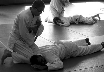 martial arts, grapping, opponent pinned. Image from Pixabay