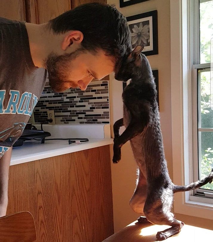 Author Jason Stokes and his cat