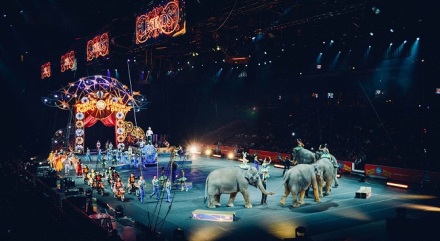 Circus tent, circus animals, performers