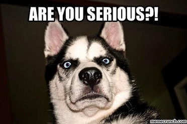 Are You Serious? Husky dog meme