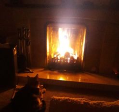 Open fire, flames, toasting on an open fire