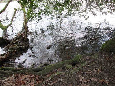 Nature reserve, water, lake