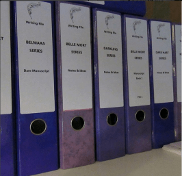 Photo of Ari Meghlen's novel notes binder collection.