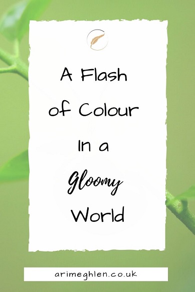 Banner - A Flash of Colour in a Gloomy World. Image of plant in the background. Website arimeghlen.co.uk