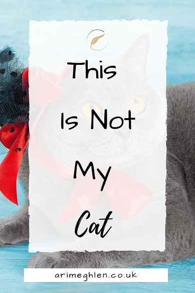 BAnner This Is Not My Cat.  Arimeghlen.co.uk.  Image of Cat in a cat from StoryBlocks