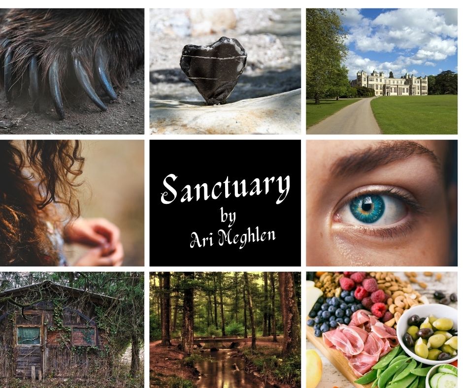 Book Aesthetic for Short Story Sanctuary by Ari Meghlen