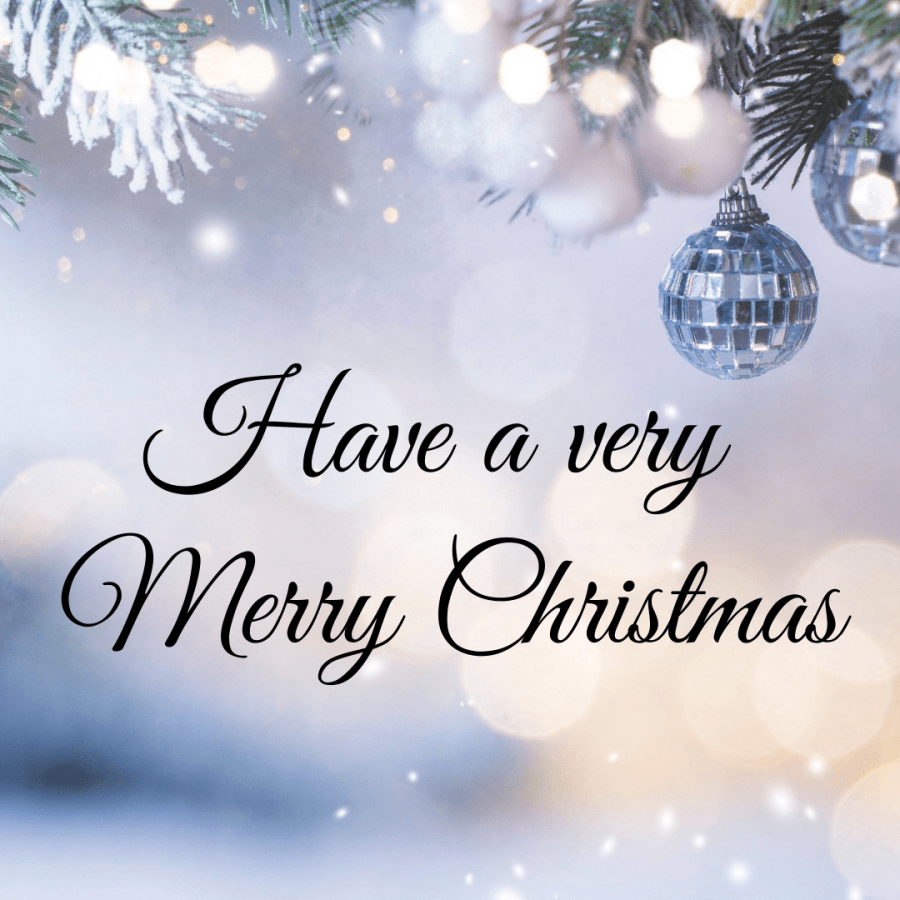 Have a very Merry Christmas. Image of snow covered tree bough with silver baubles