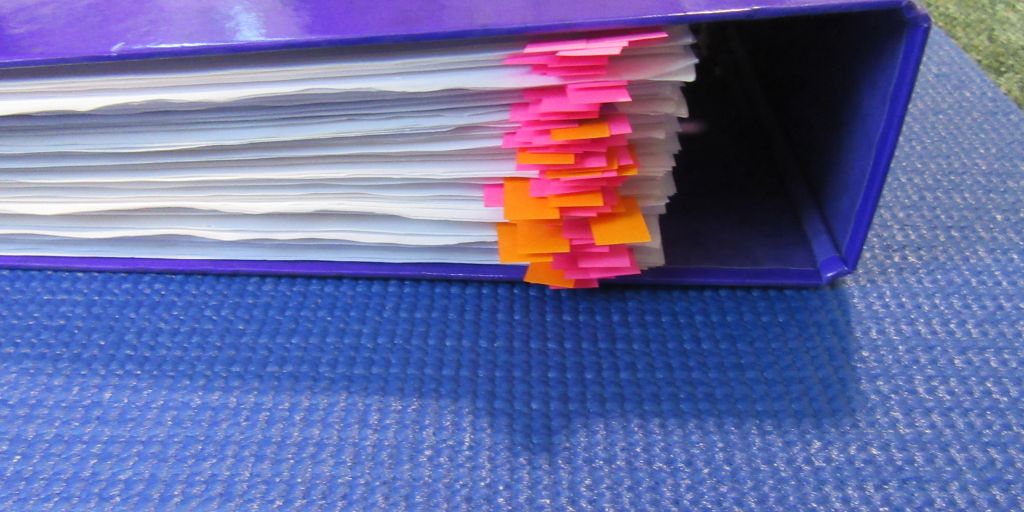 Photo of a binder full of novel scenes and lots of pink and orange tags