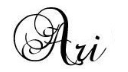 Swirly Ari signature